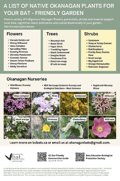 Bat-friendly Gardening in the Okanagan pamphlet back