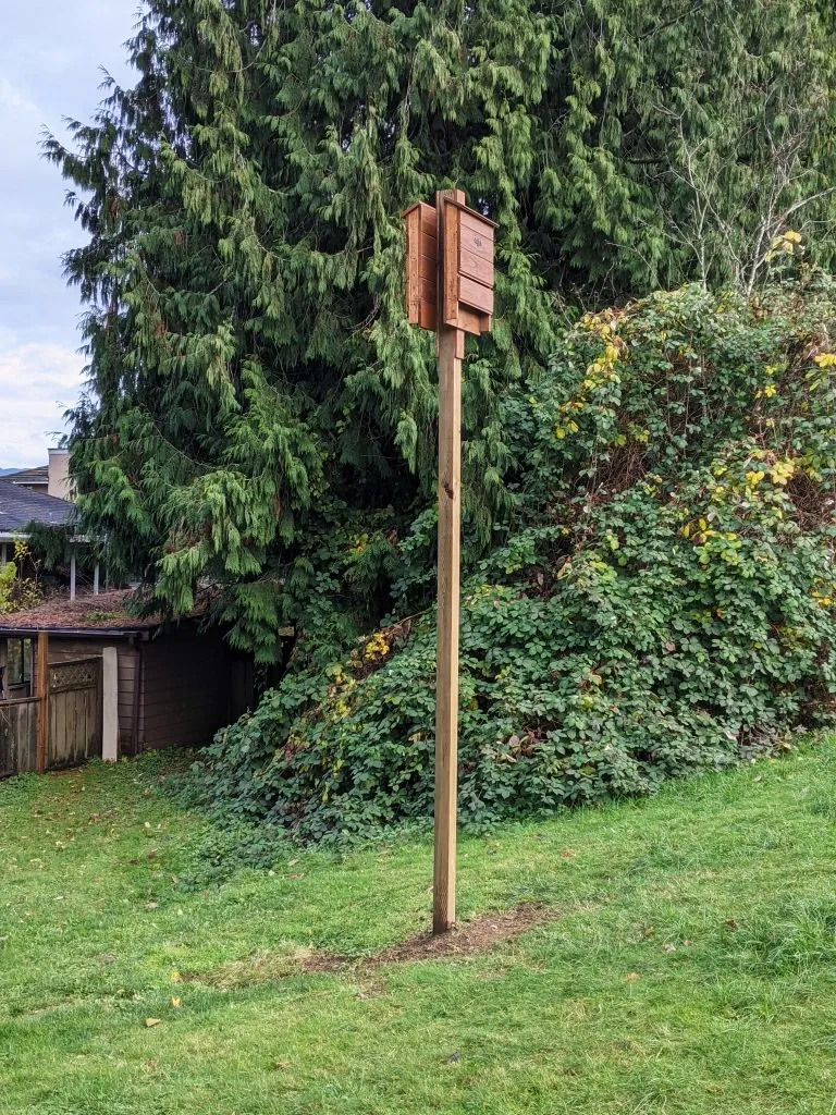Bat house example