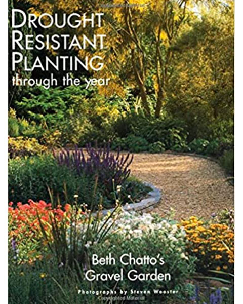 drought Resistant Planting Drought Resistant Planting through the Year by BethChattooo