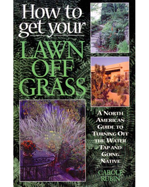 Lawn off Grass How to Get Your Lawn off Grass