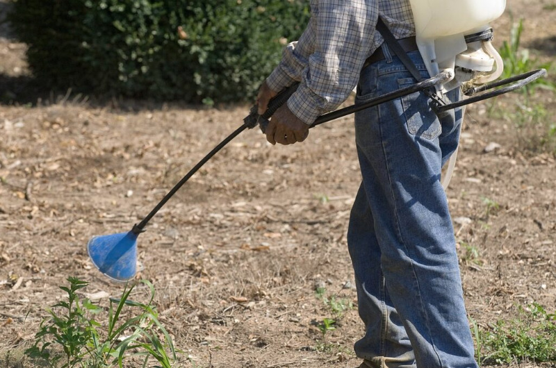 Blog-Fig-2-Herbicide herbicide spray for lawn removal