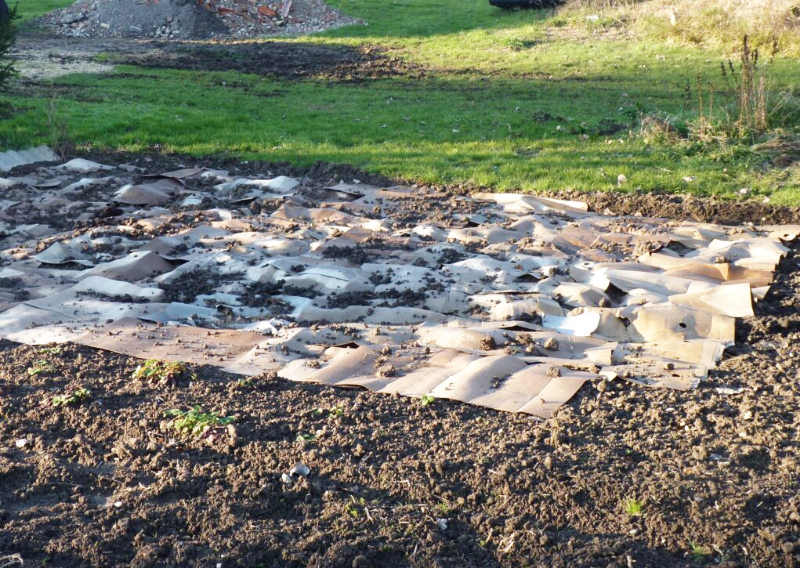 Blog-Fig4-Lasagna-Naturein Lasagna method for lawn replacement