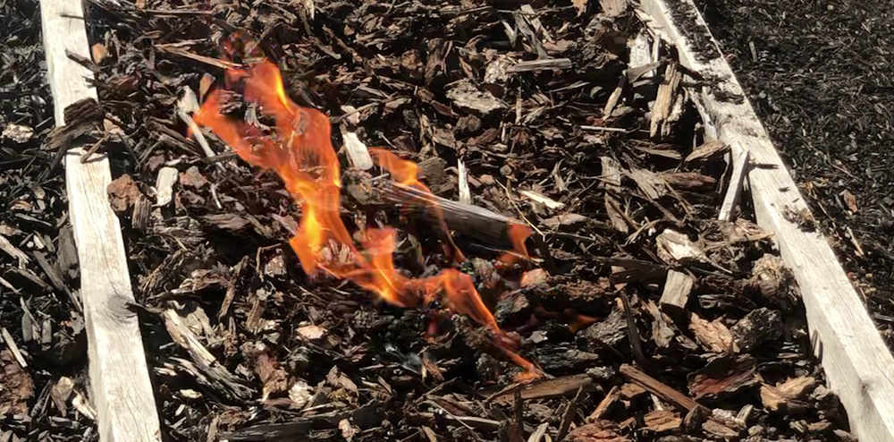 Burning Bark Mulch Flames in fir mulch spread with wind
