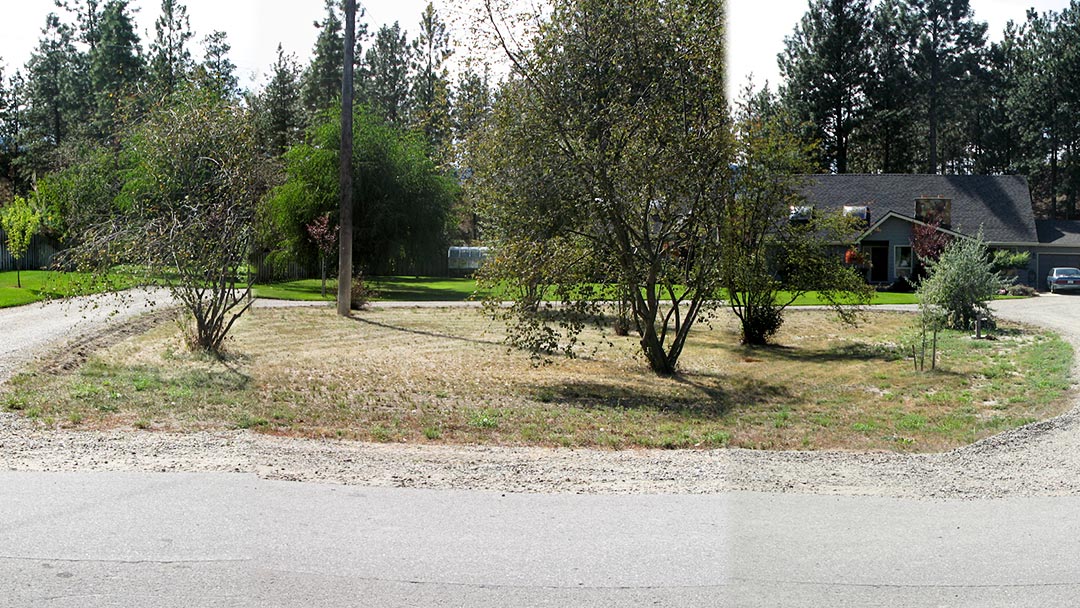 Xeriscape Before Cook garden before the xeriscape project