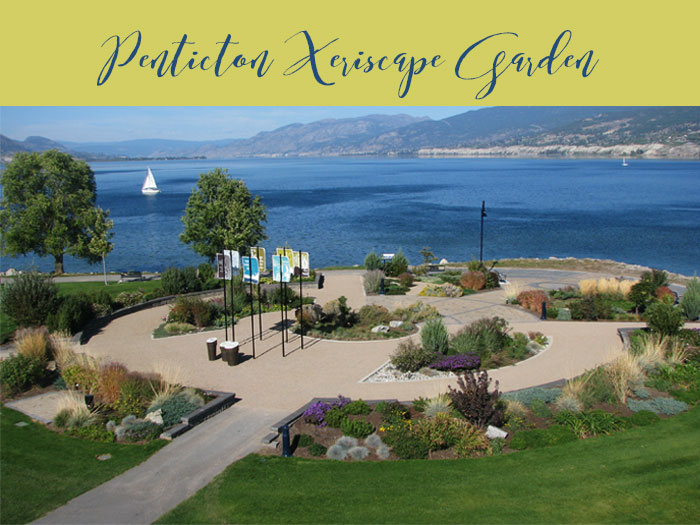 Link to the Penticton Xeriscape Garden in the South Okanagan