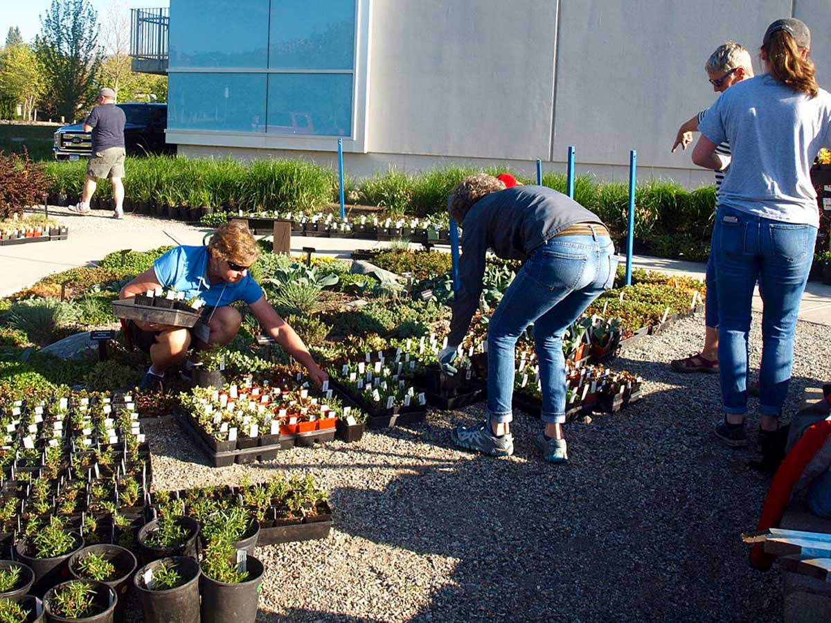 event-volunteers OXA volunteers helping at the annual Plant Sale