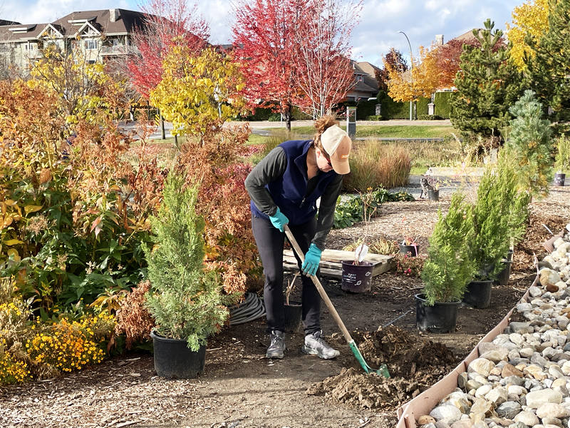 extreme-fall-planting Plant in the late summer or fall