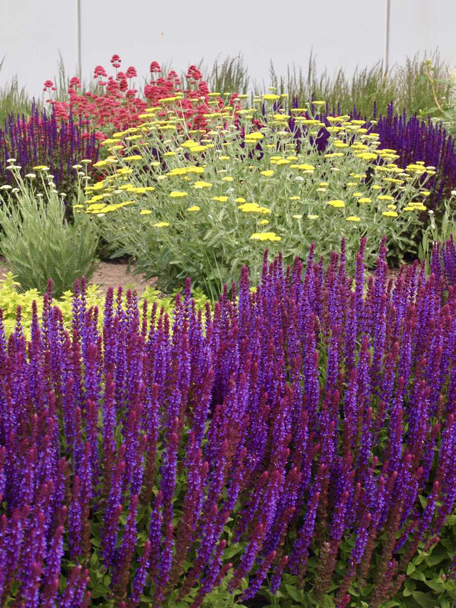 garden-design-sig