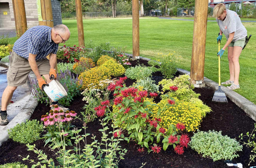 garden-mulch Adding mulch to a xeriscape garden bed