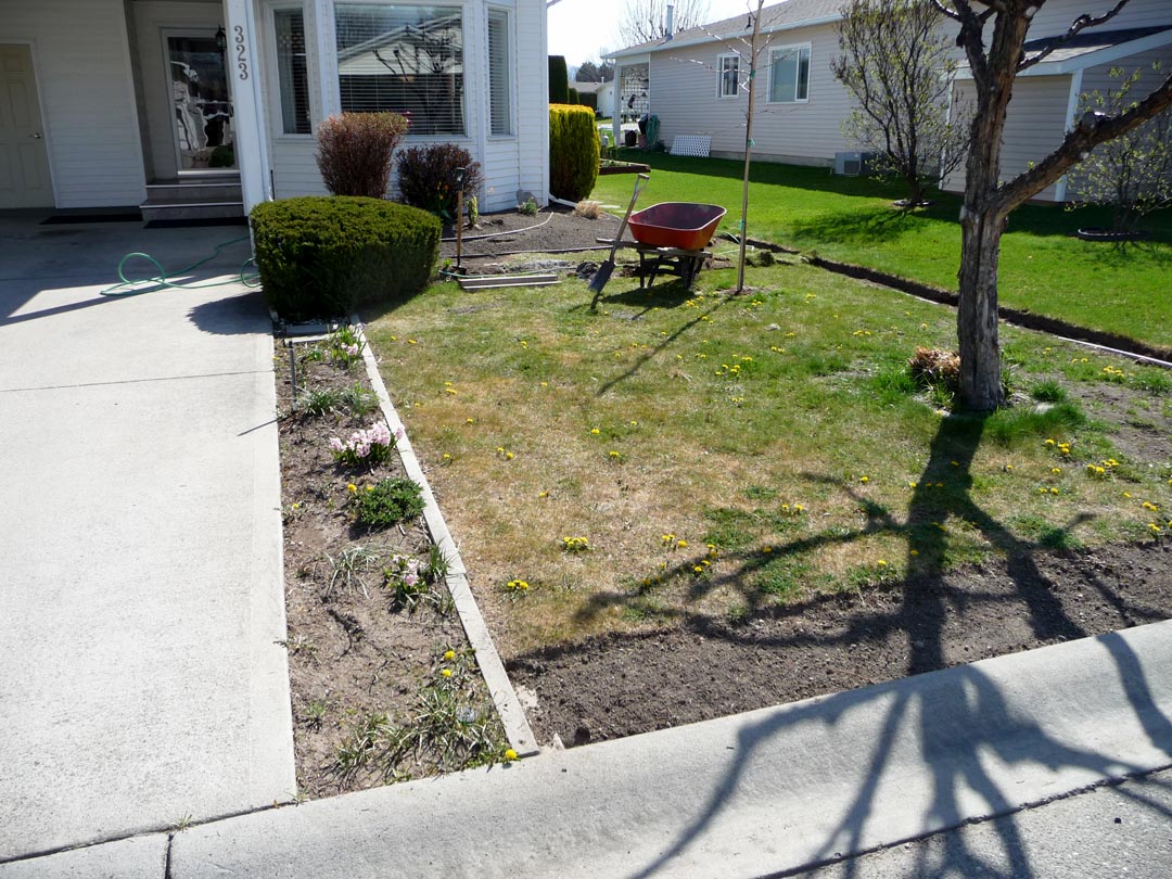 Xeriscape Before Goreski garden before the xeriscape project