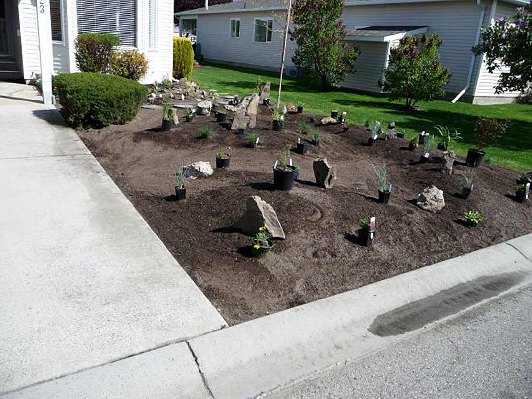 Locating plants locating new plants in the Goreski garden