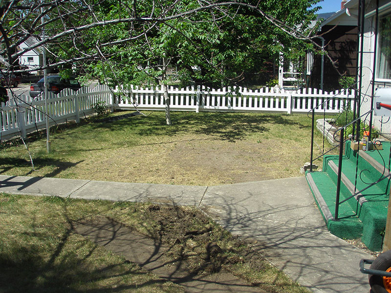 Xeriscape Before Lisa's Garden before xeriscaping
