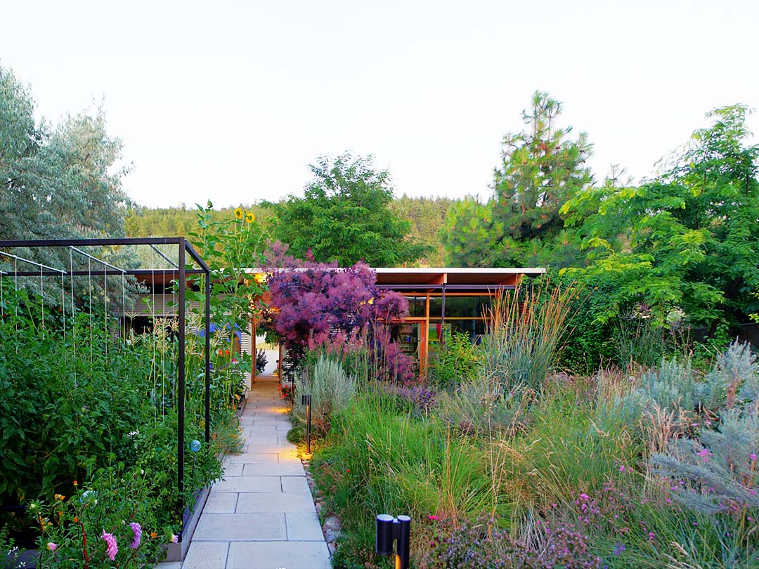 vegetable and xeriscape gardens Maurer Garden vegetable and xeriscape gardens