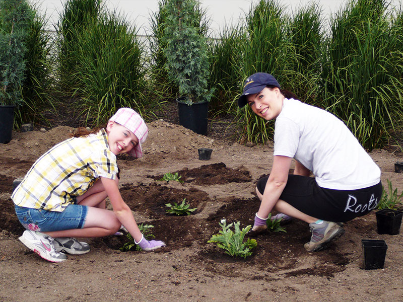 Xeriscape digging Saskia getting to work on her xeriscape project
