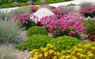 Garden Design