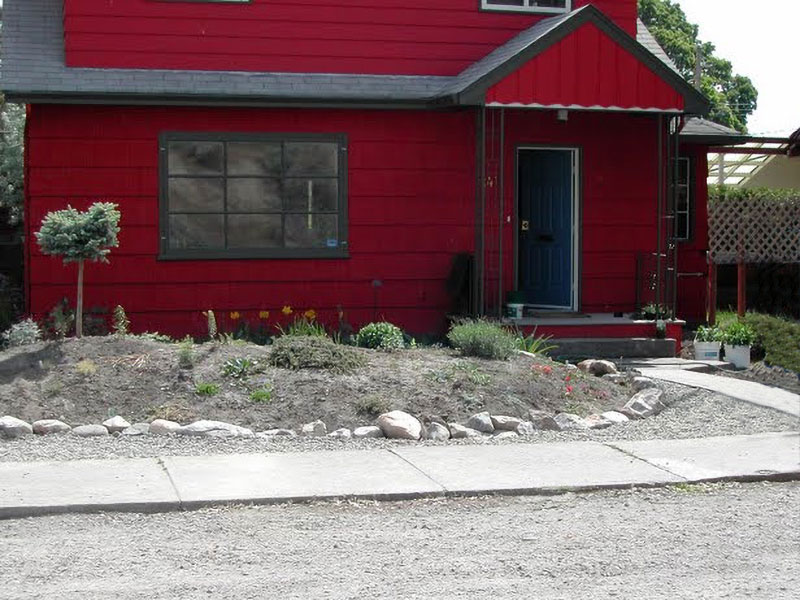 xeriscape flower bed year one Front flowerbed year one