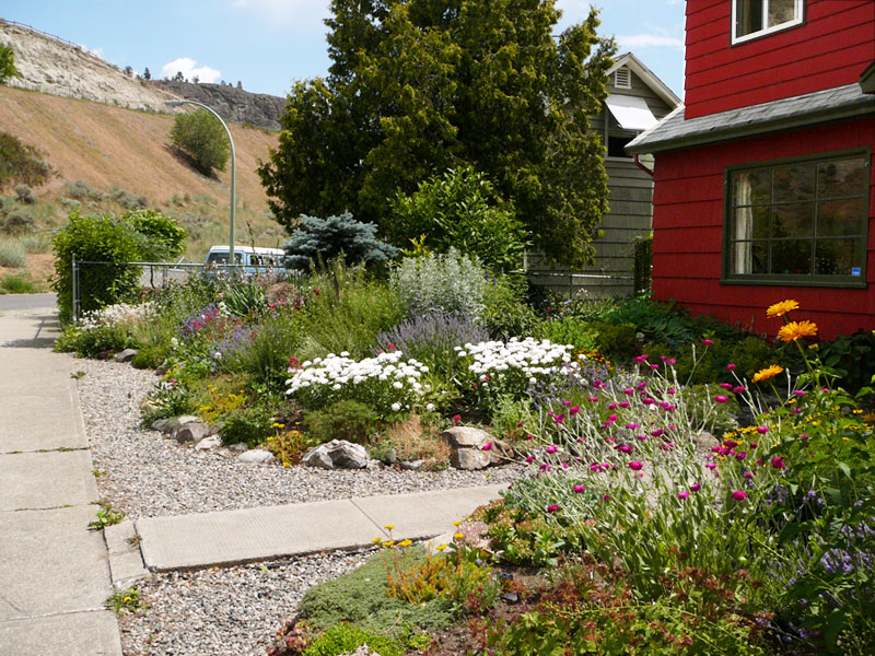 Knox Mountain Xeriscape Xeriscape garden at the foot of Knox Mountain Kelowna