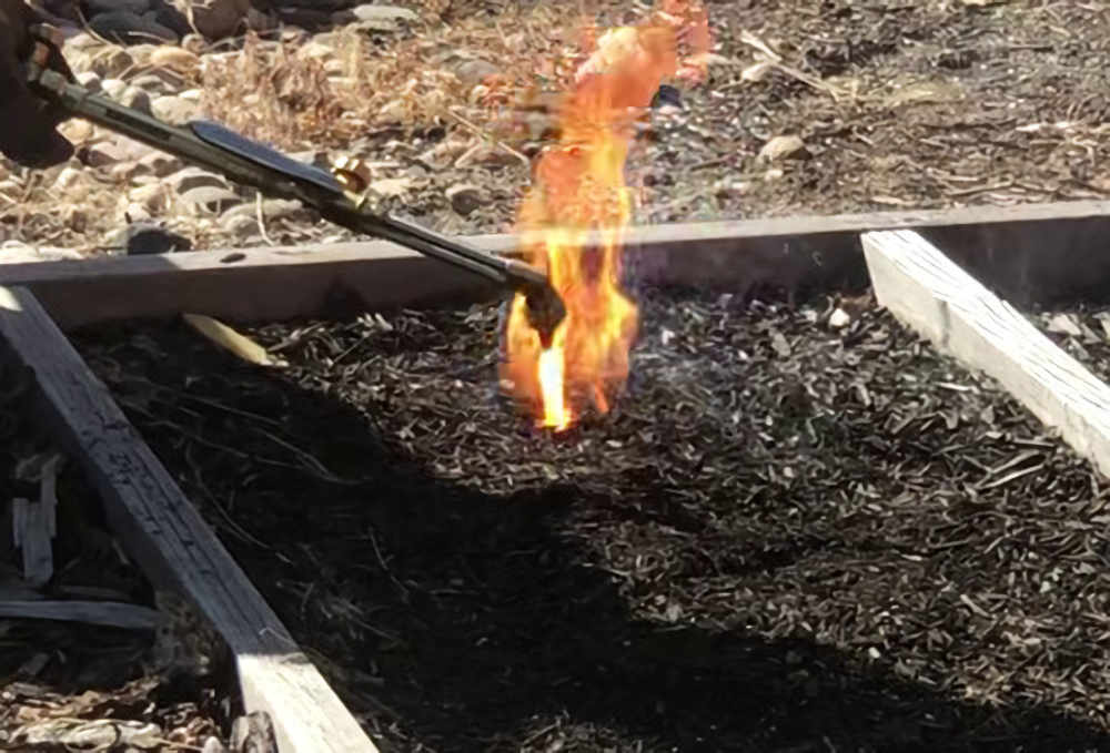Torch test Igniting mulch with an acetylene torch