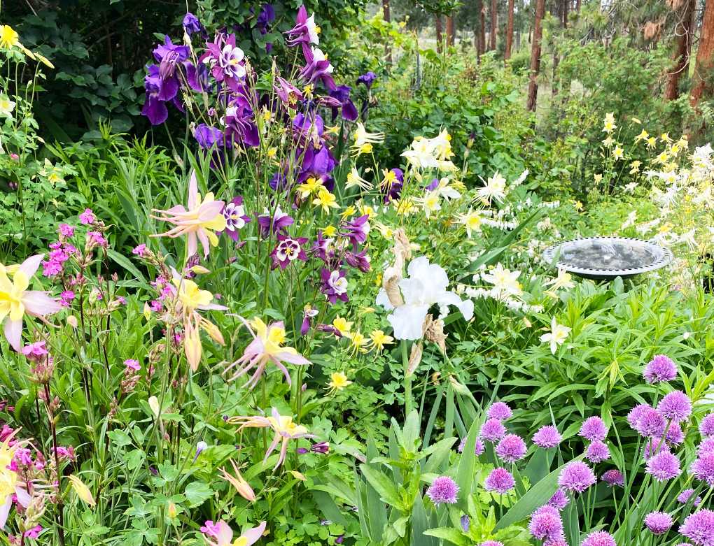 water-pollinator-garden Water in a pollinator-friendly xeriscape garden