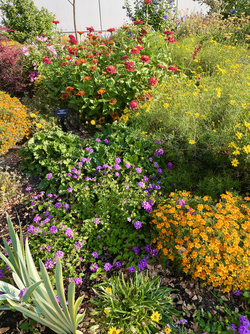 welcome-fall OXA UnH2O Garden September 2023