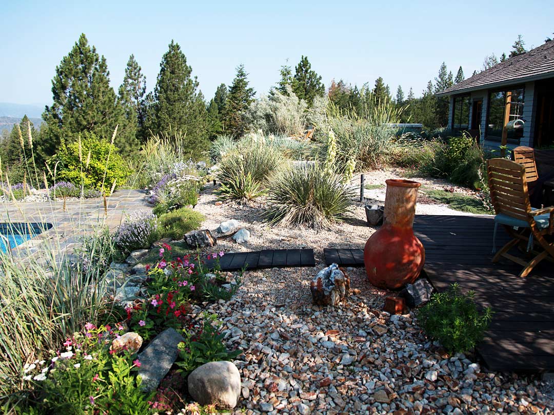 Youngberg-2-after xeriscape shade garden
