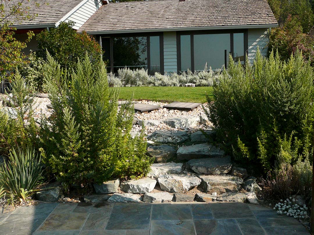 Xeriscape turf area Practical turf areas in xeriscape project